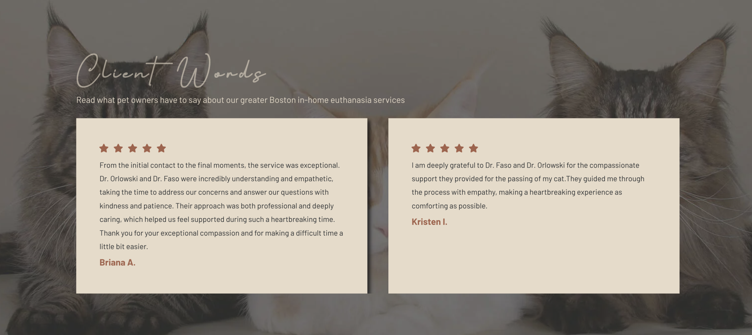 veterinary website design companies design for testimonials